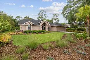3372 Brian Rd S, Palm Harbor, FL 34685 - Photo 4