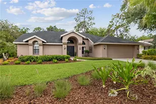 3372 Brian Rd S, Palm Harbor, FL 34685 - Photo 2