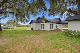 1205 E Knights Griffin Rd, Plant City, FL 33565 - Photo 48