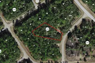 9328 N Rada Terrace, Dunnellon, FL 34434 - Photo 1