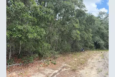 9328 N Rada Terrace, Dunnellon, FL 34434 - Photo 2