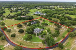 11511 Trotting Down Dr, Odessa, FL 33556 - Photo 64