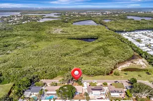 7454 Locust St NE, Saint Petersburg, FL 33702 - Photo 62