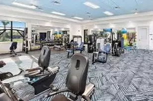 4838 Sevilla Shores Dr, Wimauma, FL 33598 - Photo 50