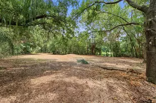 6409 Chiswick Ct, New Port Richey, FL 34655 - Photo 12
