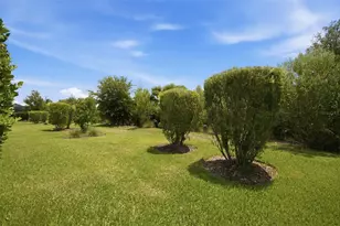 3254 Francoa Dr, Odessa, FL 33556 - Photo 38