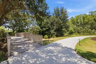 3254 Francoa Dr, Odessa, FL 33556 - Photo 54