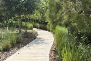 9760 Minnow Ray Dr, Land O Lakes, FL 34638 - Photo 22