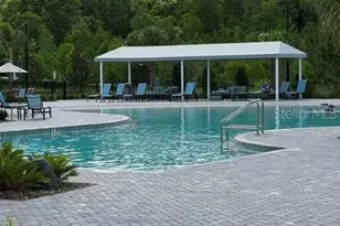 9760 Minnow Ray Dr, Land O Lakes, FL 34638 - Photo 30