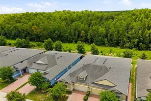 16952 Balance Cv, Land O Lakes, FL 34638 - Photo 4