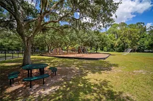 3916 Broomsedge Ln, Valrico, FL 33596 - Photo 54