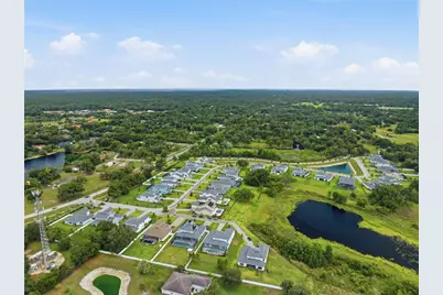 2340 White Dogwood Loop, Lutz, FL 33549 - Photo 66