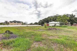 3409 Old Mulberry Rd, Plant City, FL 33566 - Photo 34
