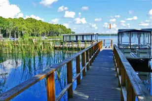 1603 Glengarry Dr, Palm Harbor, FL 34684 - Photo 50