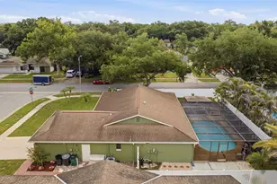 102 Peacock Cir, Safety Harbor, FL 34695 - Photo 58