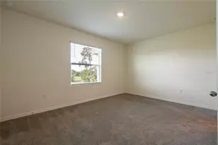 34310 Redwood Dawn Ln, Wesley Chapel, FL 33543 - Photo 10