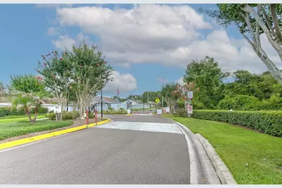 30914 Burleigh Drive, Wesley Chapel, FL 33543 - Photo 40