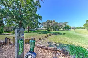 3612 Pine Knot Dr, Valrico, FL 33596 - Photo 40