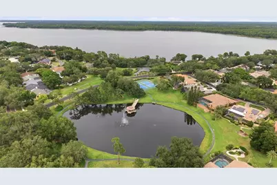 3459 Woodridge Parkway, Palm Harbor, FL 34684 - Photo 48