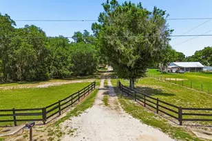 10501 Sherrouse Rd, Lakeland, FL 33810 - Photo 4