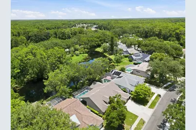 4703 Devonshire Boulevard, Palm Harbor, FL 34685 - Photo 64