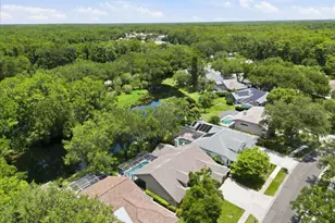 4703 Devonshire Blvd, Palm Harbor, FL 34685 - Photo 64