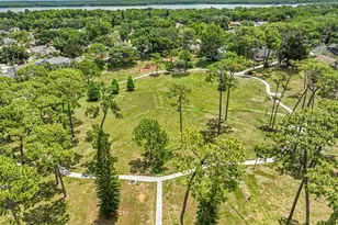 3224 Montrose Cir, Palm Harbor, FL 34684 - Photo 30