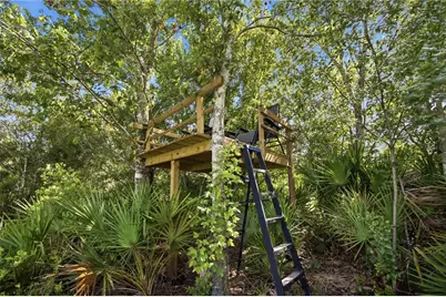 26644 Easy Street, Wesley Chapel, FL 33544 - Photo 52