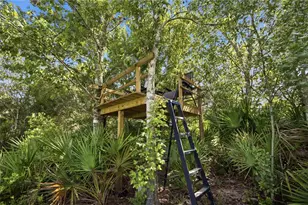 26644 Easy St, Wesley Chapel, FL 33544 - Photo 52