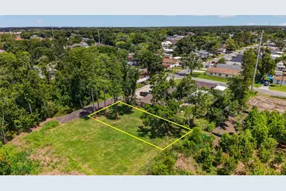 6817 N Blossom Avenue, Tampa, FL 33614 - Photo 1