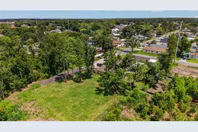 6817 N Blossom Avenue, Tampa, FL 33614 - Photo 4