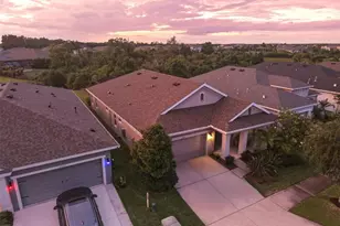5565 Silver Sun Dr, Apollo Beach, FL 33572 - Photo 42