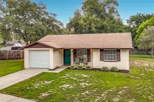 903 Carrie Cove, Valrico, FL 33594 - Photo 34