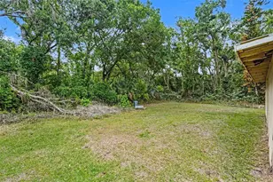 7206 Alafia Dr, Riverview, FL 33578 - Photo 22