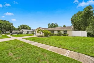 5309 Black Pine Dr, Tampa, FL 33624 - Photo 30