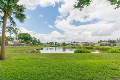 11520 Wellman Drive, Riverview, FL 33578 - Photo 4