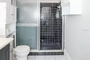 333 S Plant Ave, Tampa, FL 33606 - Photo 38