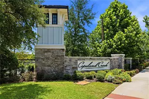 7530 Ashbrooke Pine Loop, Odessa, FL 33556 - Photo 40