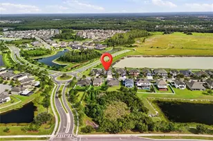 10645 Mistflower Ln, Tampa, FL 33647 - Photo 8