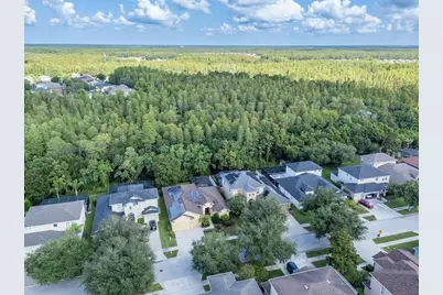 3815 Misty Willow Way, Lutz, FL 33558 - Photo 58