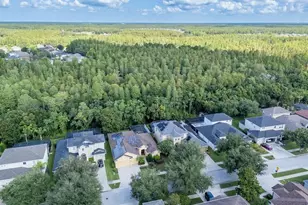3815 Misty Willow Way, Lutz, FL 33558 - Photo 58