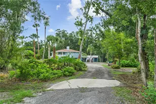 2650 20 Mile Level Rd, Land O Lakes, FL 34639 - Photo 8