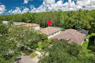 13220 Royal George Ave, Odessa, FL 33556 - Photo 2