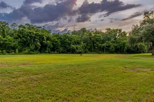 438 Tall Oak Trail, Tarpon Springs, FL 34688 - Photo 76