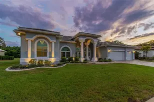 438 Tall Oak Trail, Tarpon Springs, FL 34688 - Photo 70