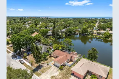 914 Carlton Road, Tarpon Springs, FL 34689 - Photo 48