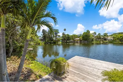 914 Carlton Road, Tarpon Springs, FL 34689 - Photo 38