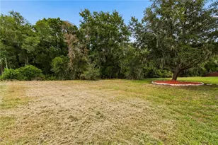 16936 Falconridge Rd, Lithia, FL 33547 - Photo 68