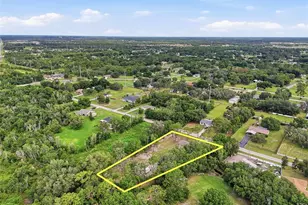 31848 Hedgerow Dr, Wesley Chapel, FL 33543 - Photo 62