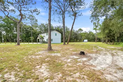 31848 Hedgerow Drive, Wesley Chapel, FL 33543 - Photo 52